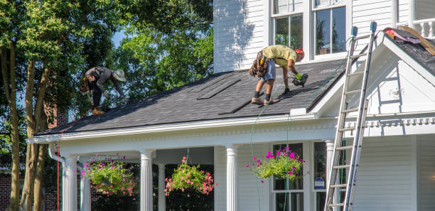 Best Chimney Flashing Repair  in Ridgeway, AK